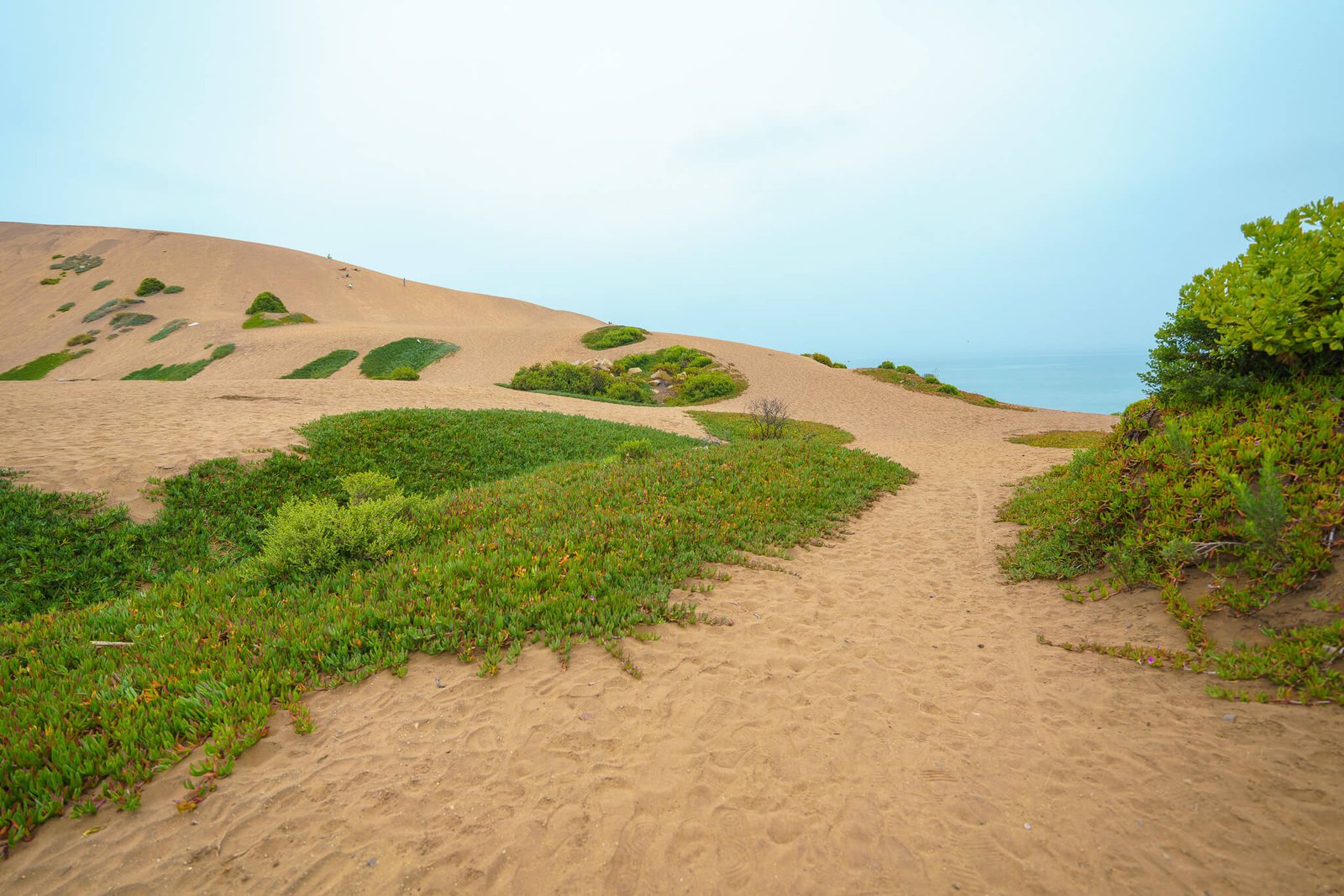 cocoon sand dunes, the best things to do in Valparaiso