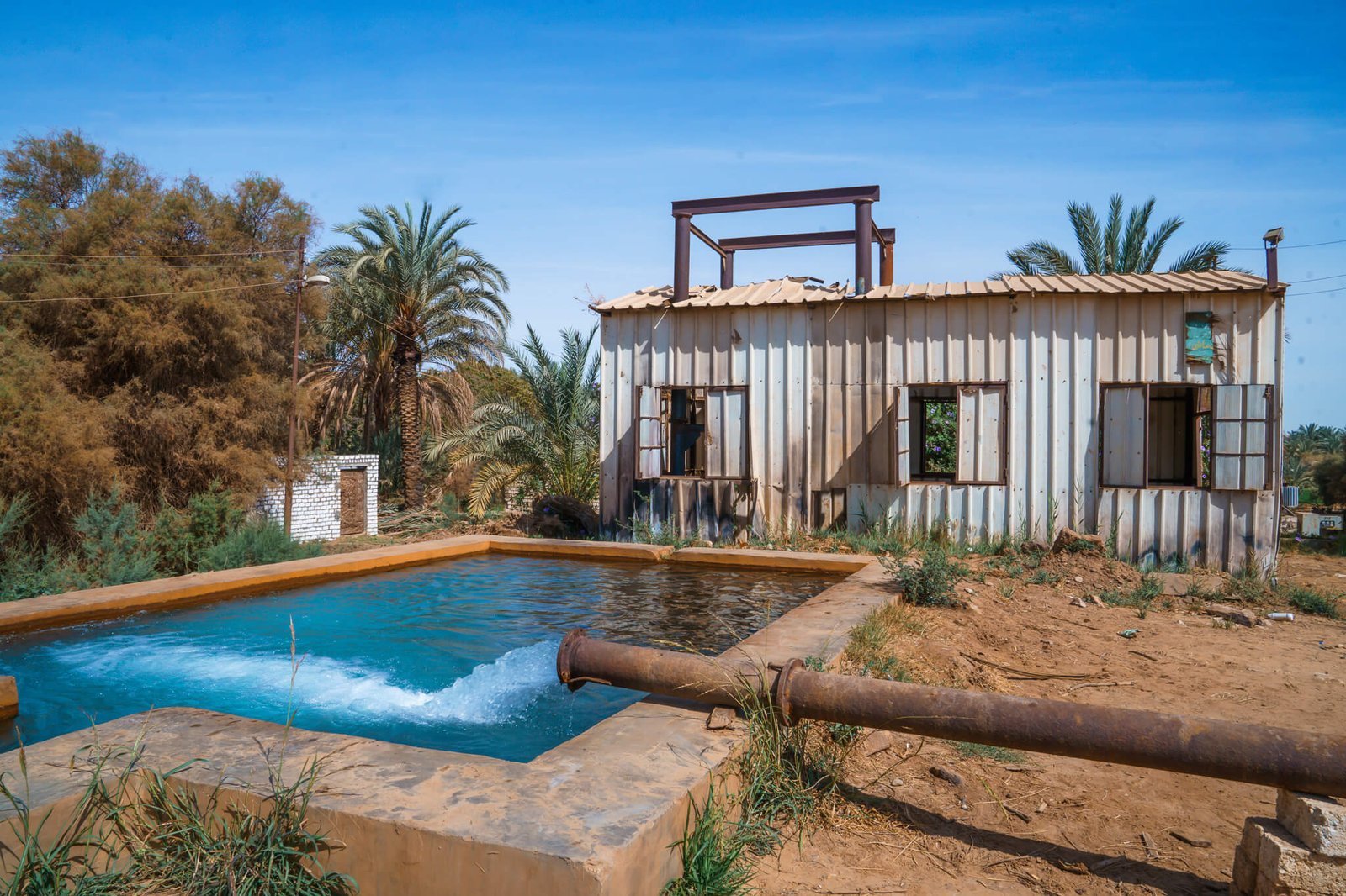 hot spring at Bahariya Oasis