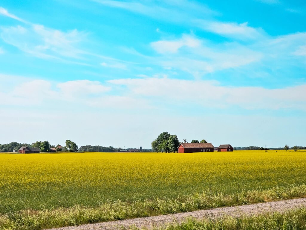Dalarna, Midsummer Solstice in Sweden