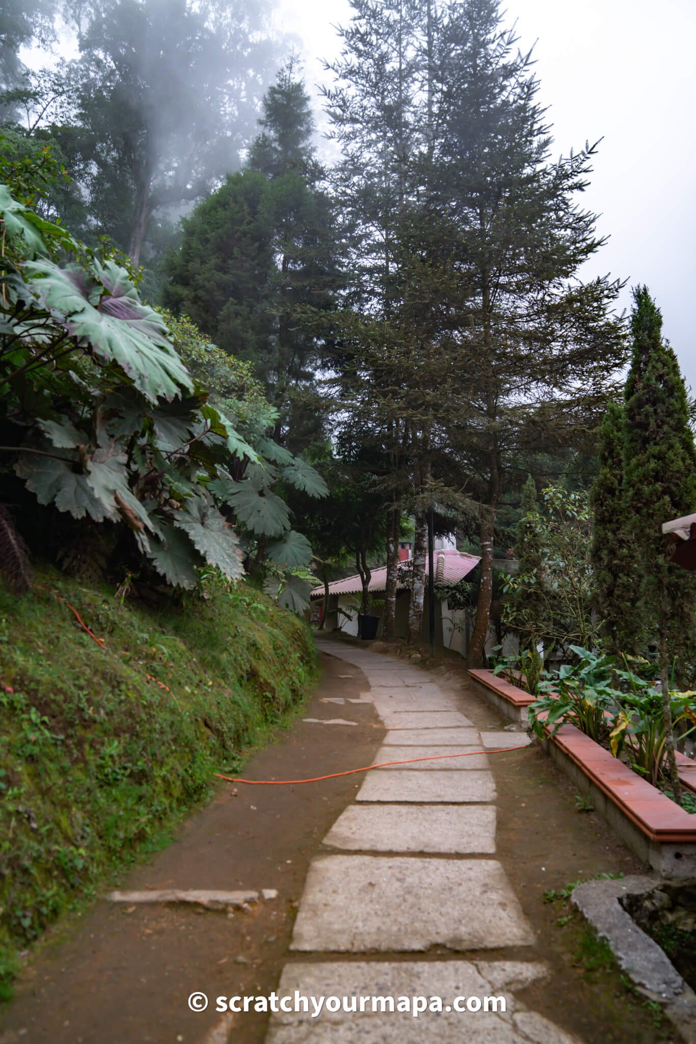 walkway to fuentes Georginas hot springs in Guatemala