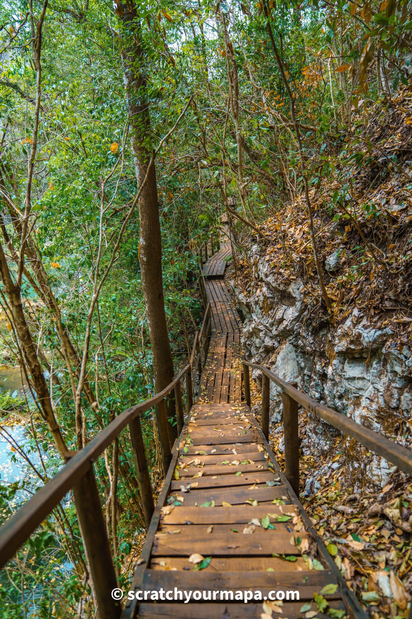 wooden path Semuc Champey, Guatemala