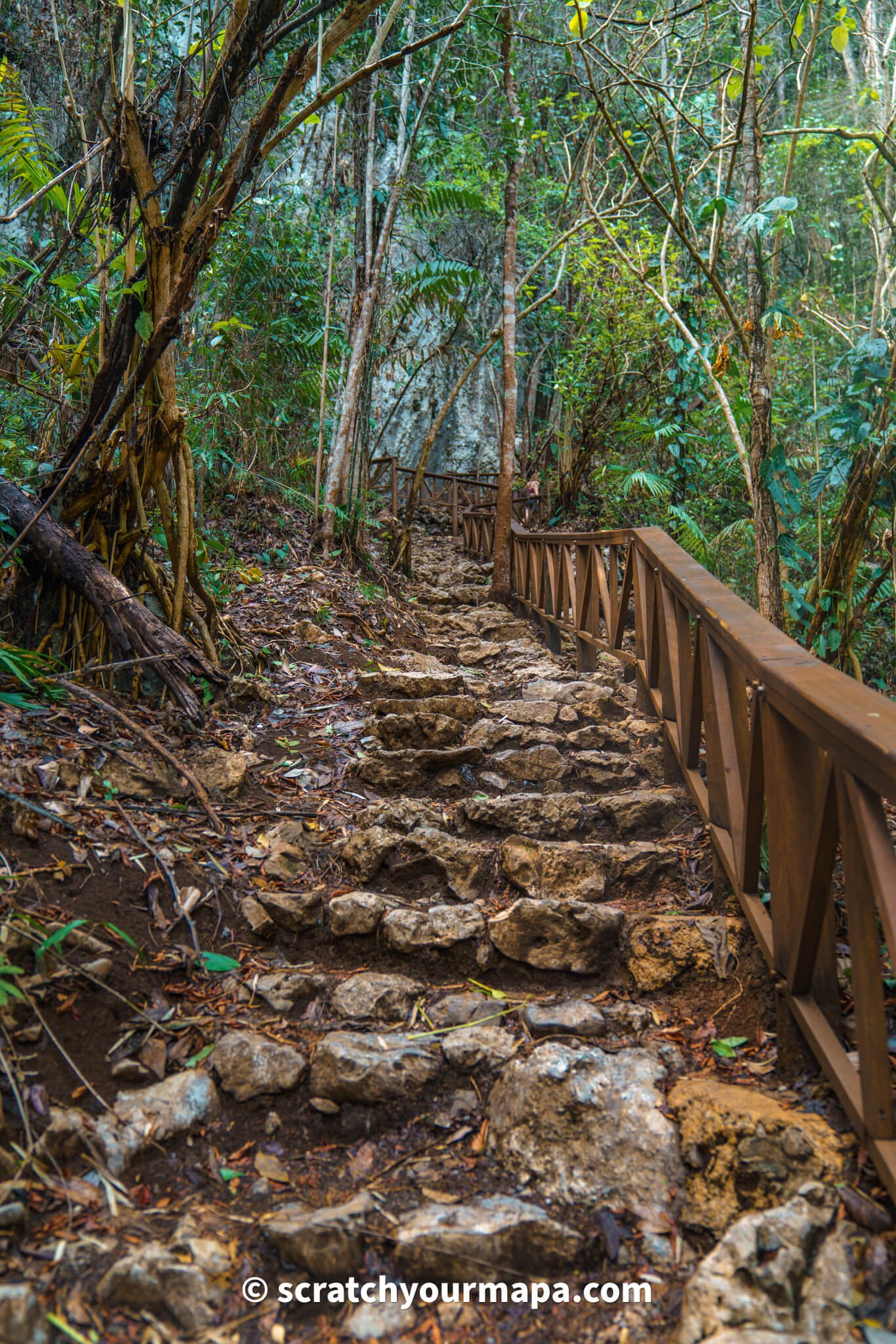 stairs to the viewpoint at Semuc Champey, Guatemala