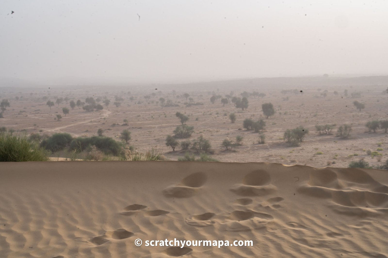 Thar desert safari, things to do in Jaisalmer, the golden city of Inida