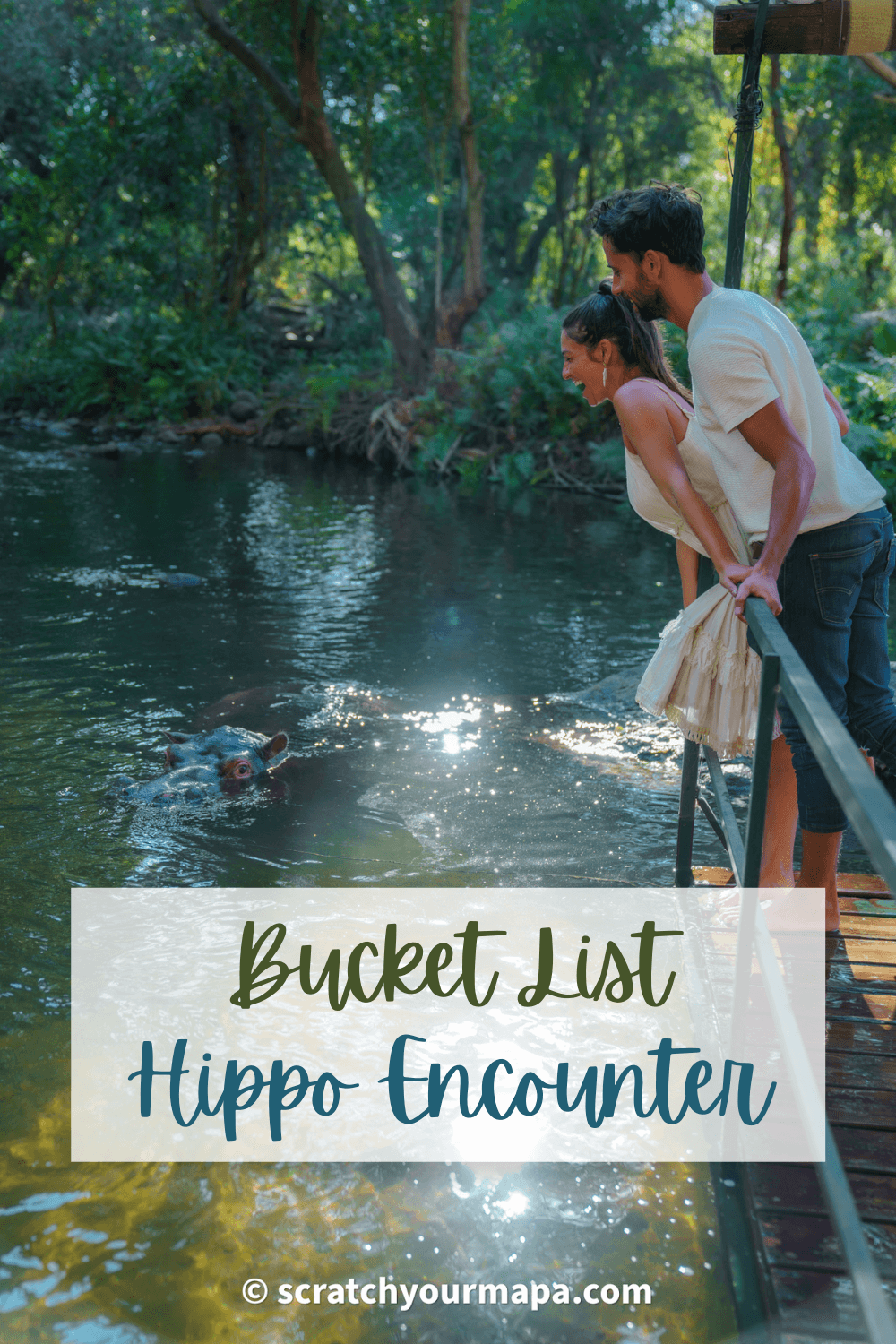 Jessica the hippo animal encounter travel guide