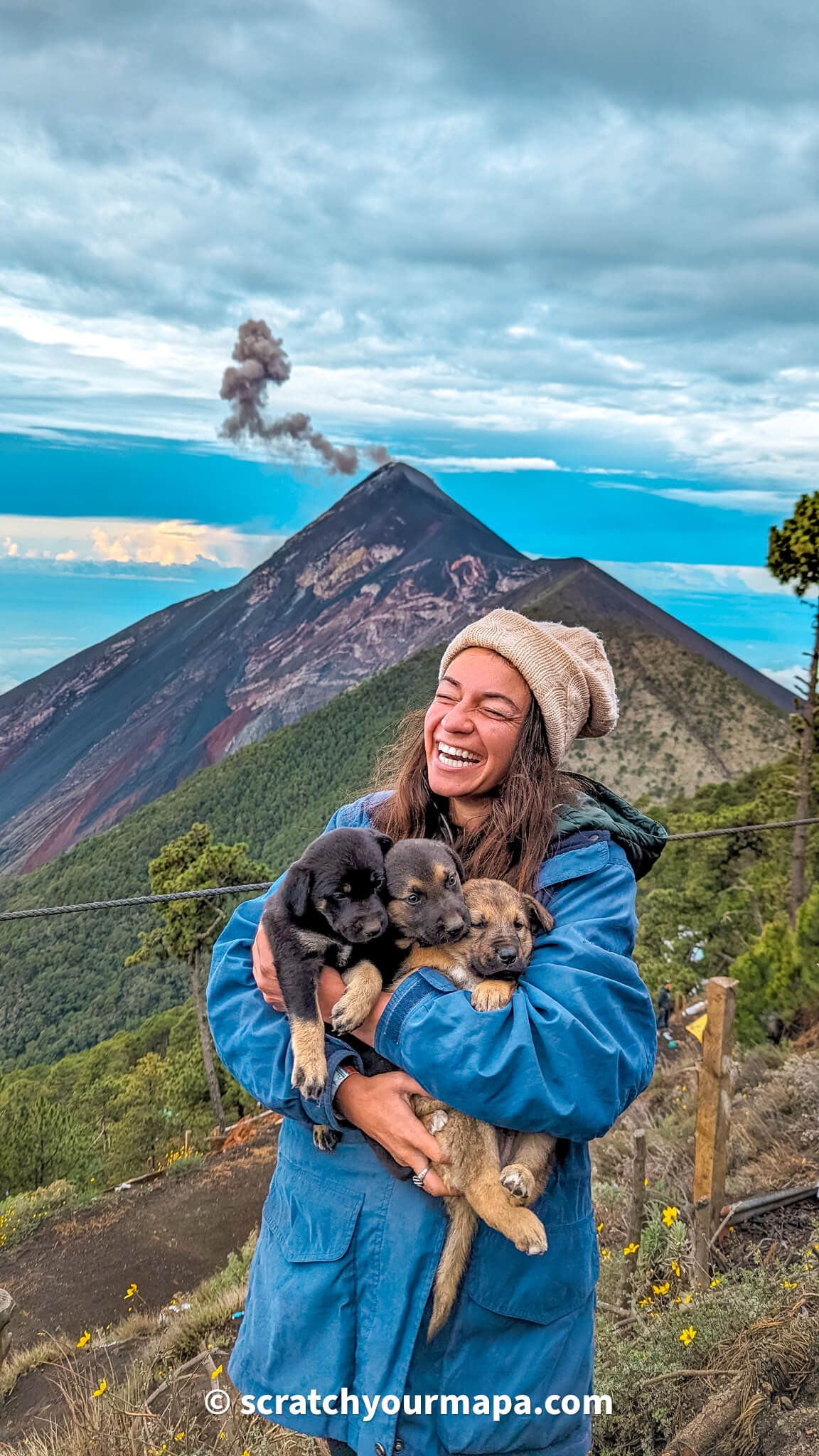 puppies at the Acatenango volcano hike 