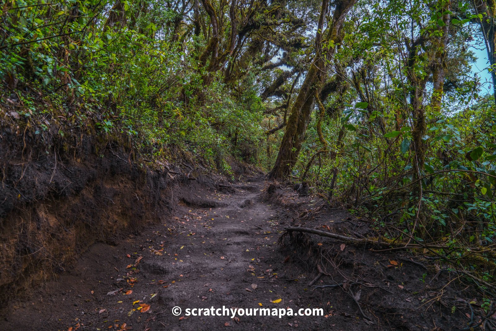 Acatenango volcano hike