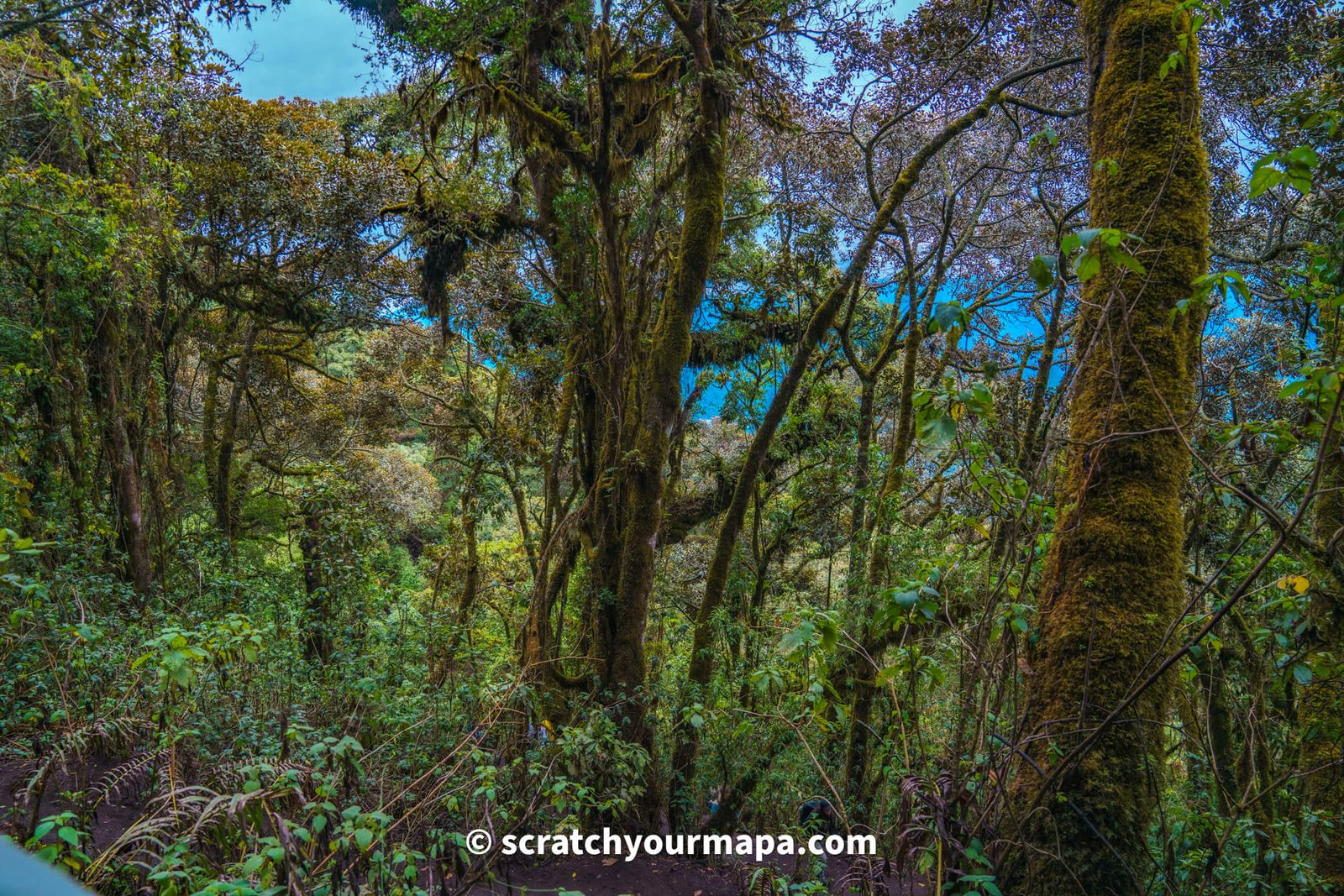 Acatenango volcano hike