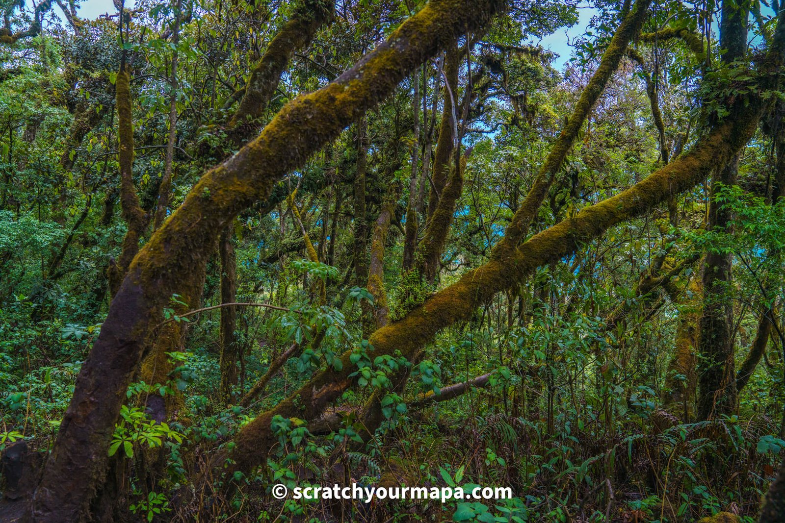 Acatenango volcano hike