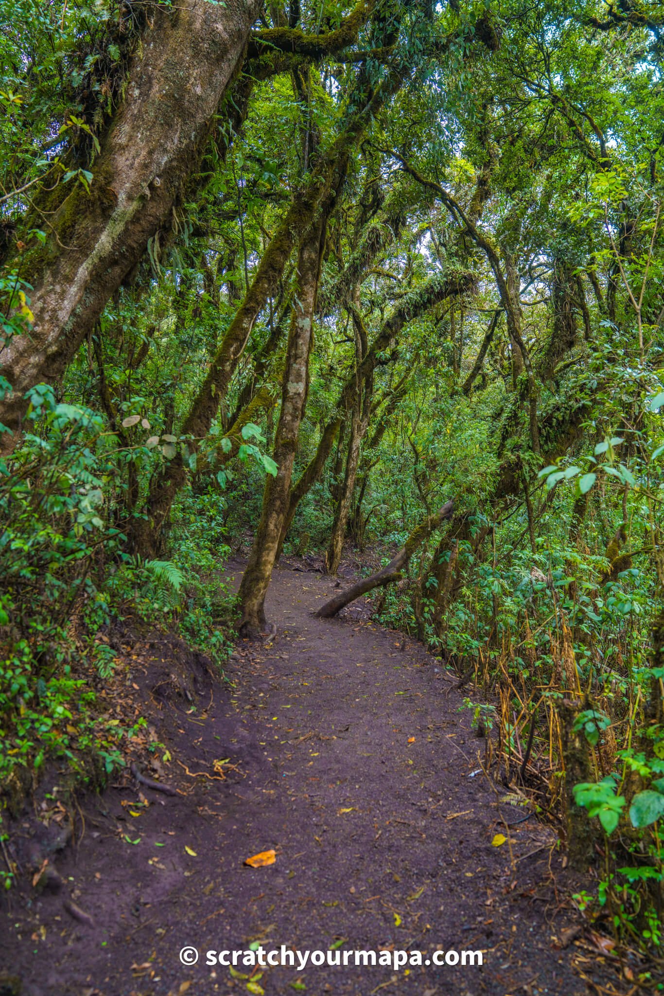 Acatenango volcano hike