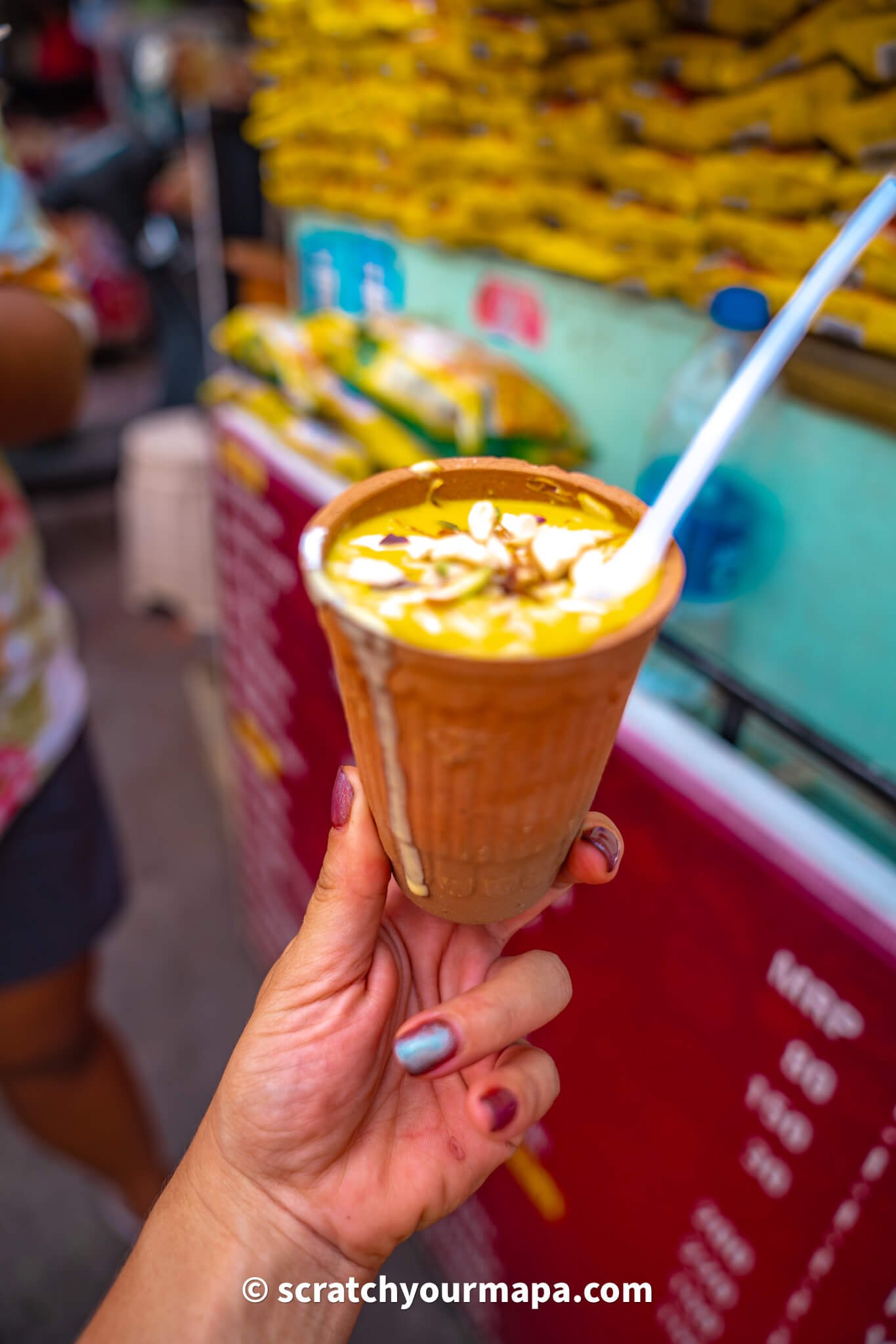 food in Udaipur