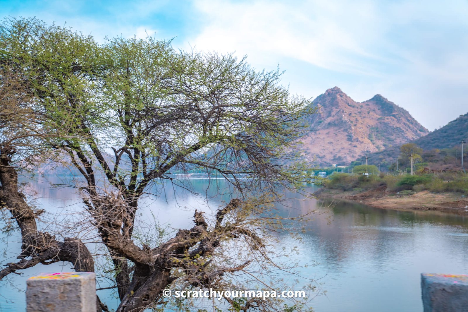 nature in Udaipur - culture shock in India