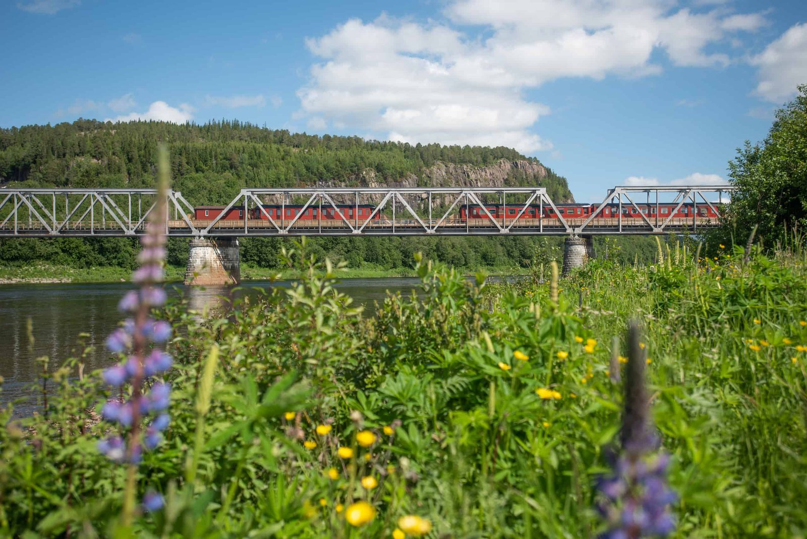 Namsen Salmon train, cool places to visit in Norway