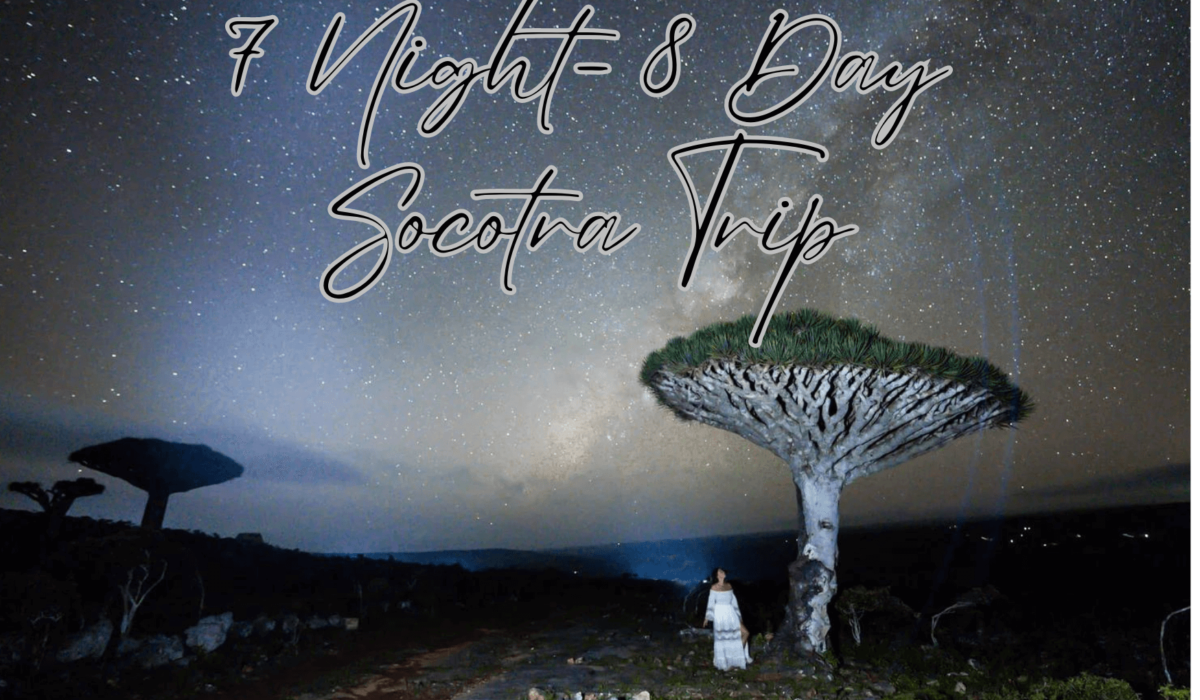 Socotra Unique tours by Off the Beaten Trips