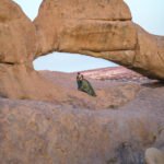 A Complete Guide for Visiting Spitzoppe Park in Namibia