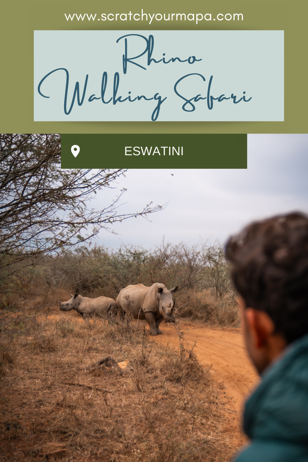 Eswatini Rhino Walking Safari travel guide