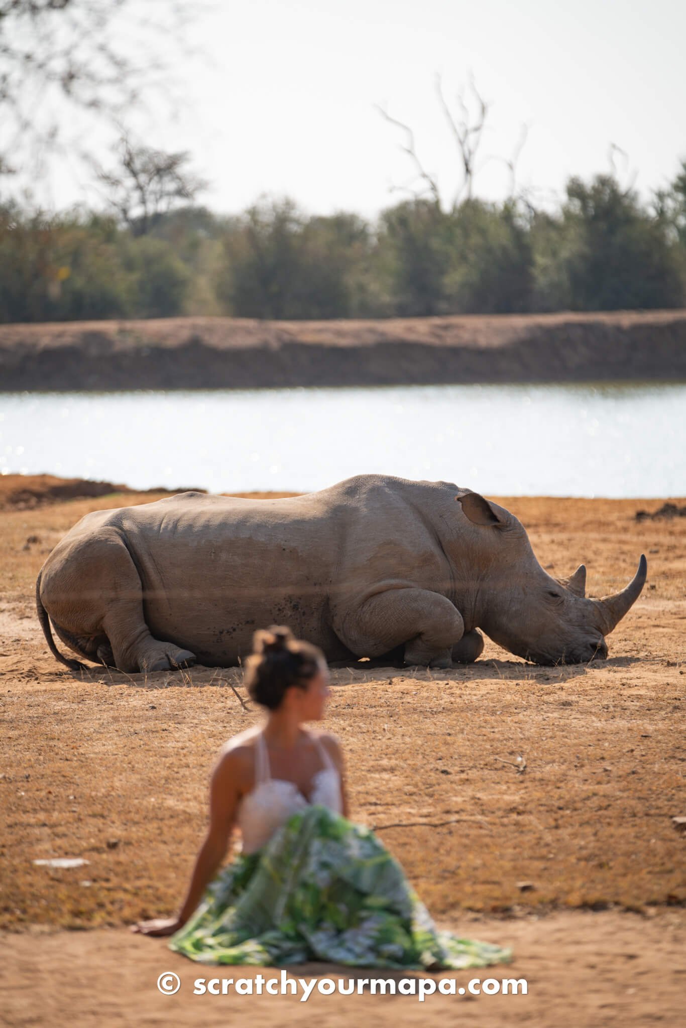 first time safari tips - photography