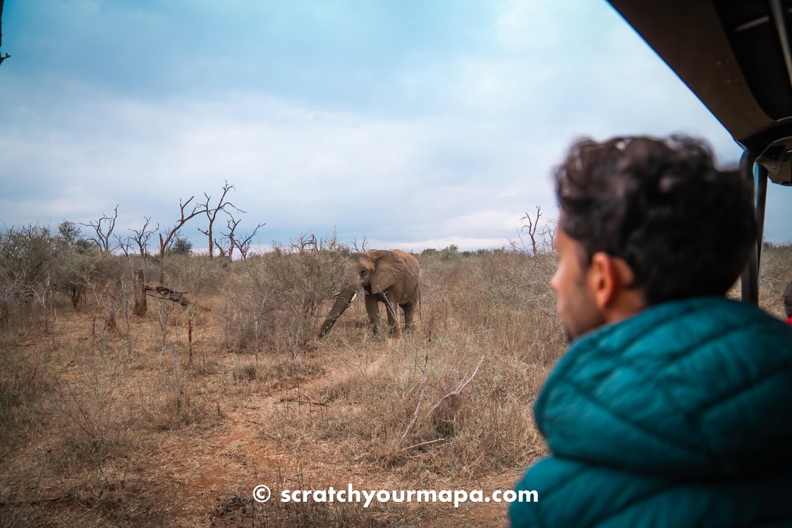 Eswatini Rhino Walking Safari