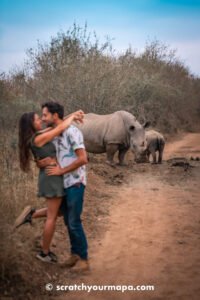 Read more about the article Eswatini Rhino Walking Safari: A One-of-a-Kind Wildlife Experience