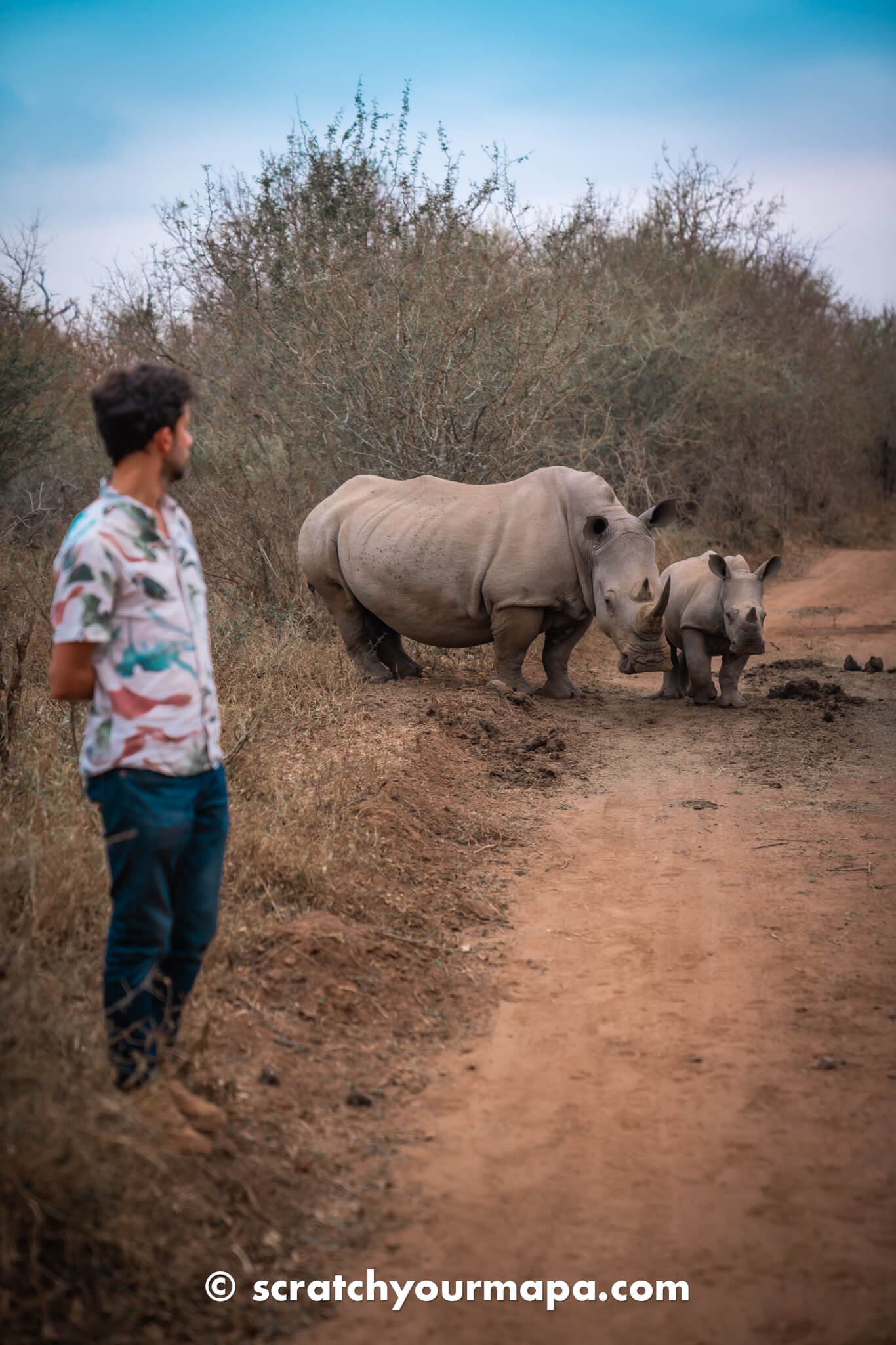 Eswatini Rhino Walking Safari