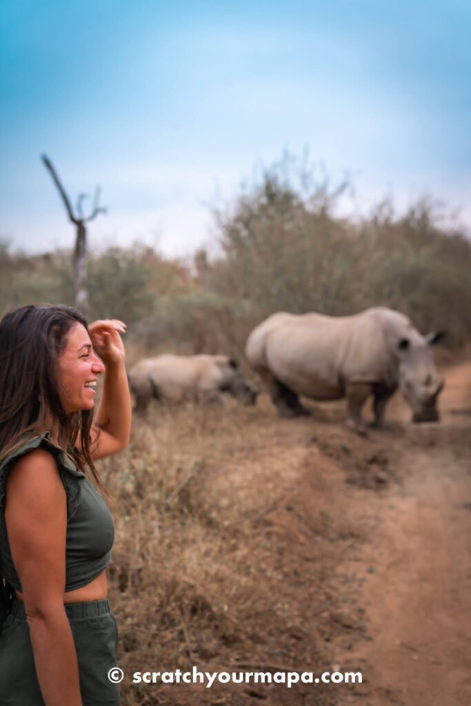 rhino safari in Eswatini