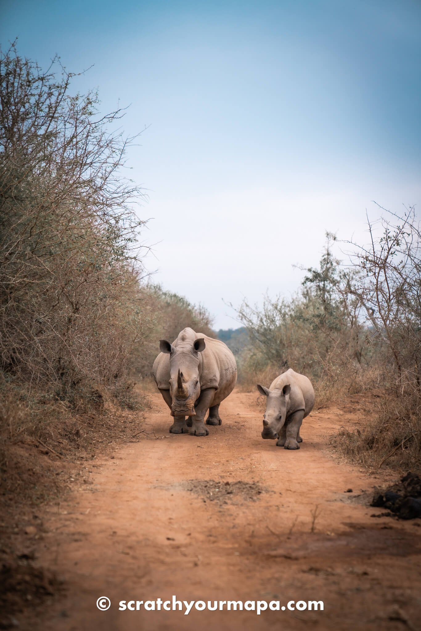 best things to do in Eswatini