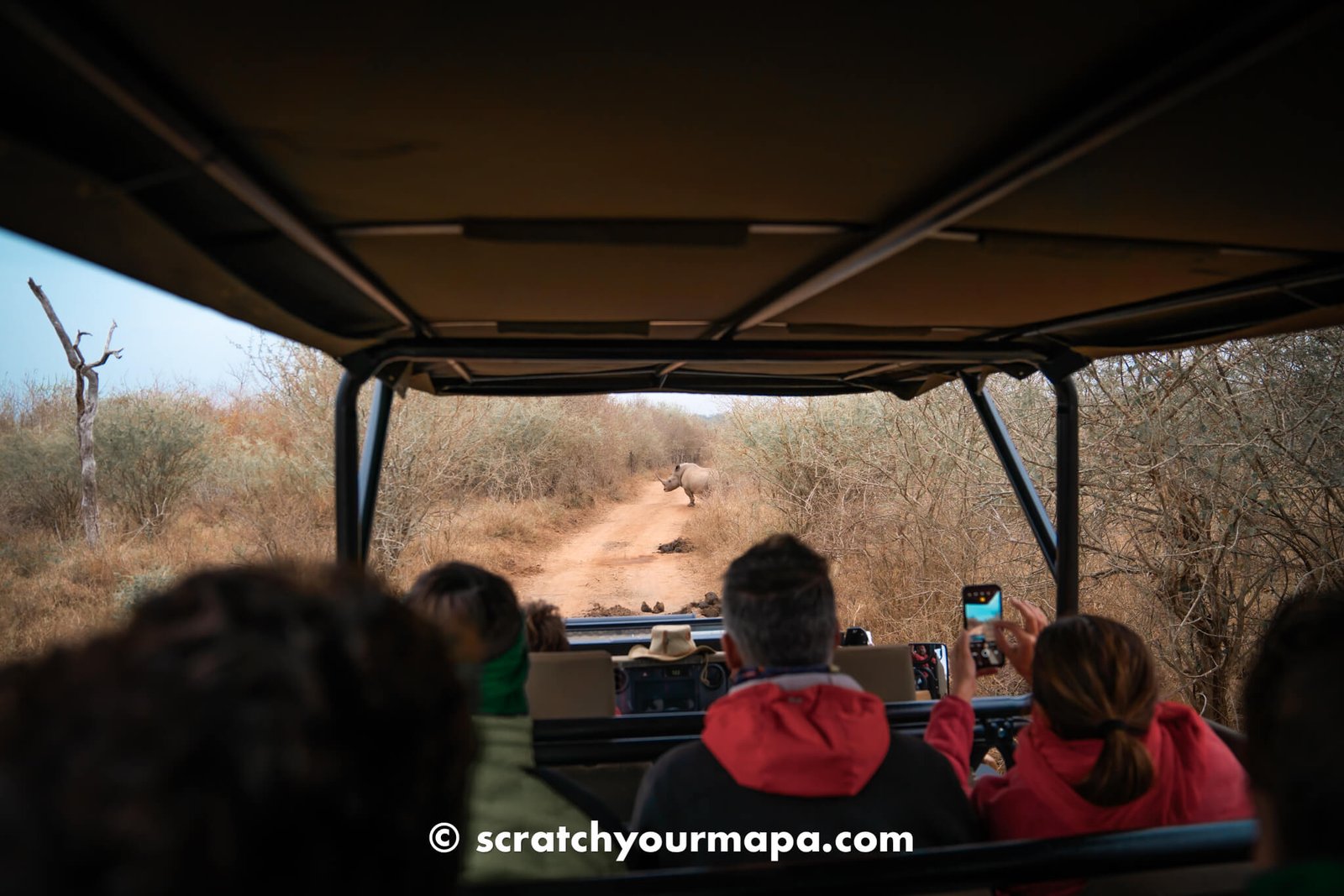 Eswatini Rhino Walking Safari