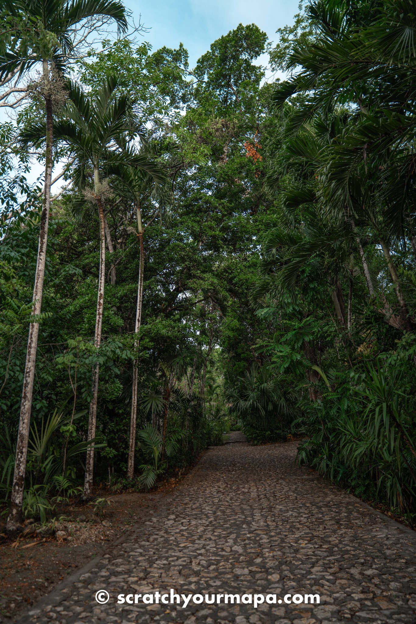 what to know before visiting Tikal Guatemala