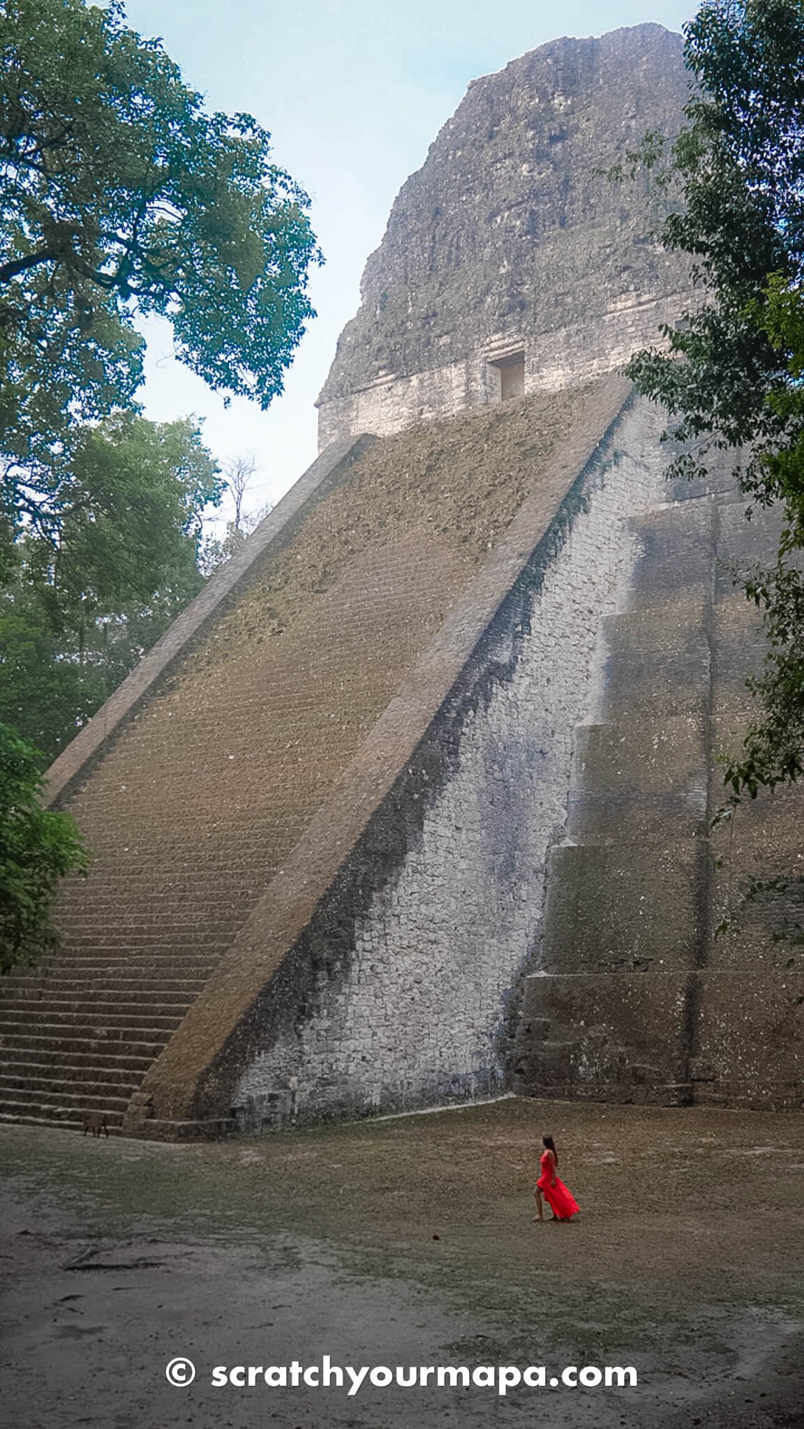 Temple V, what to know before visiting Tikal Guatemala