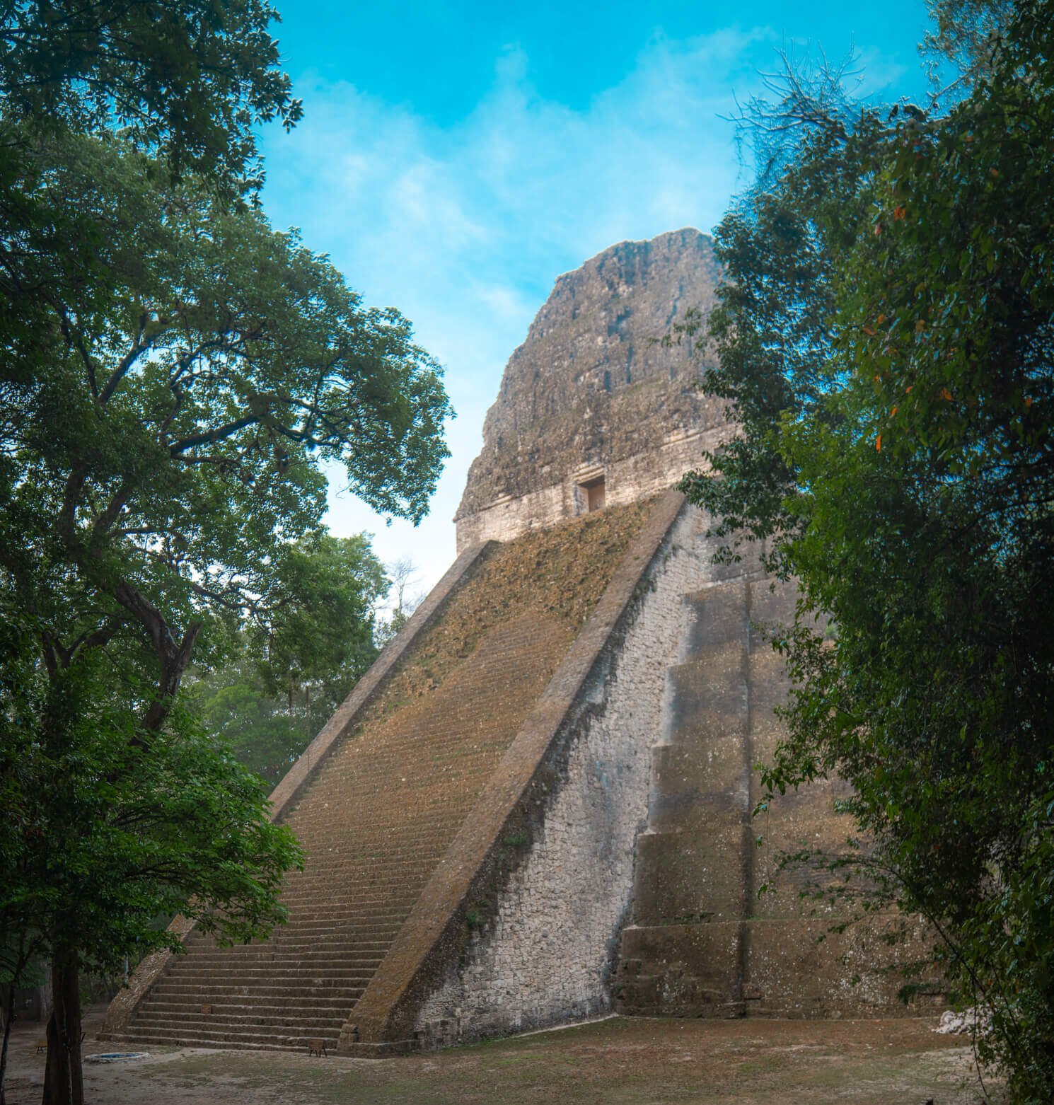 what to know before visiting Tikal Guatemala travel guide