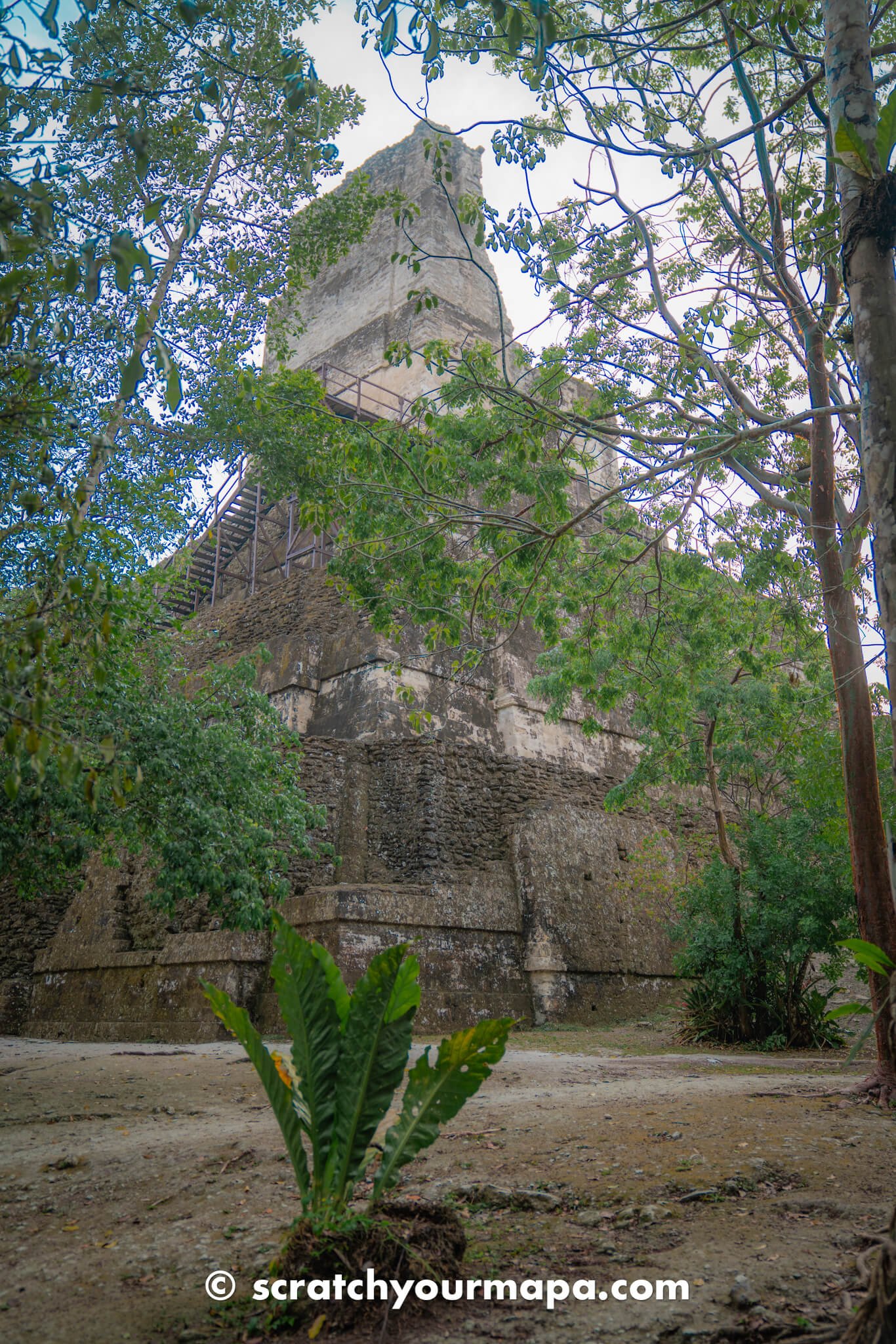 what to know before visiting Tikal Guatemala