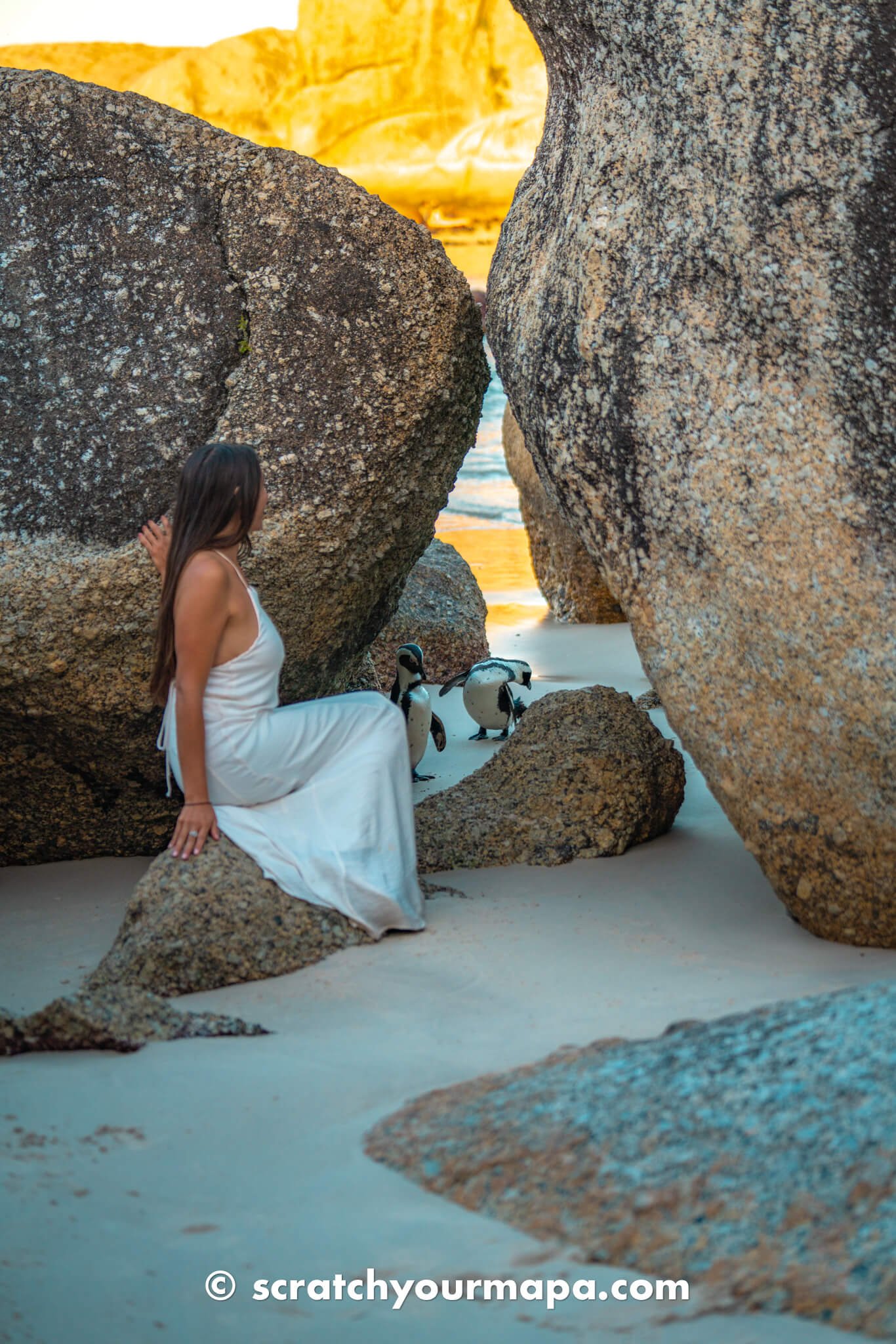 Boulders beach, best things to do in Cape Town, South Africa