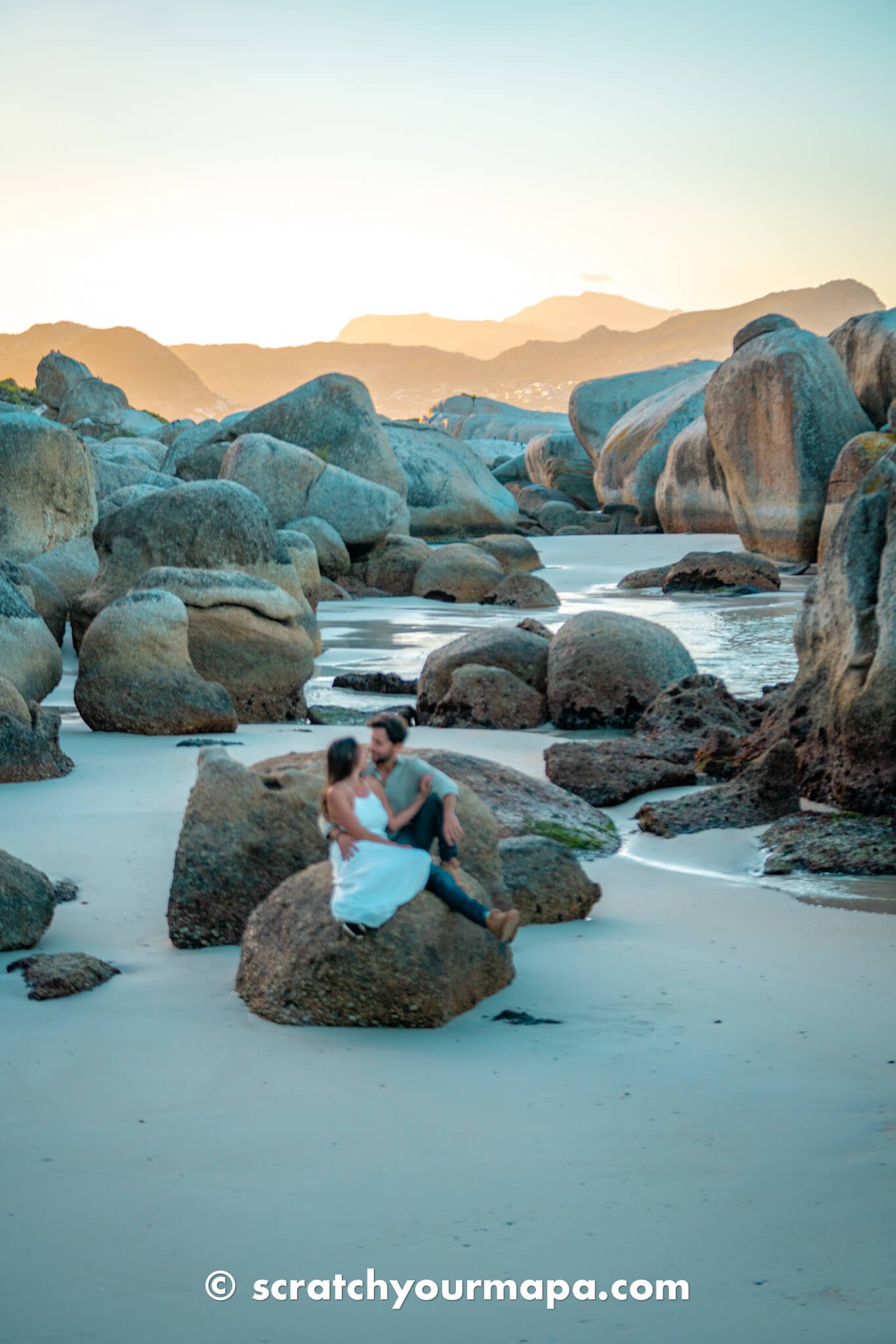 penguin beach in Cape Town, South Africa