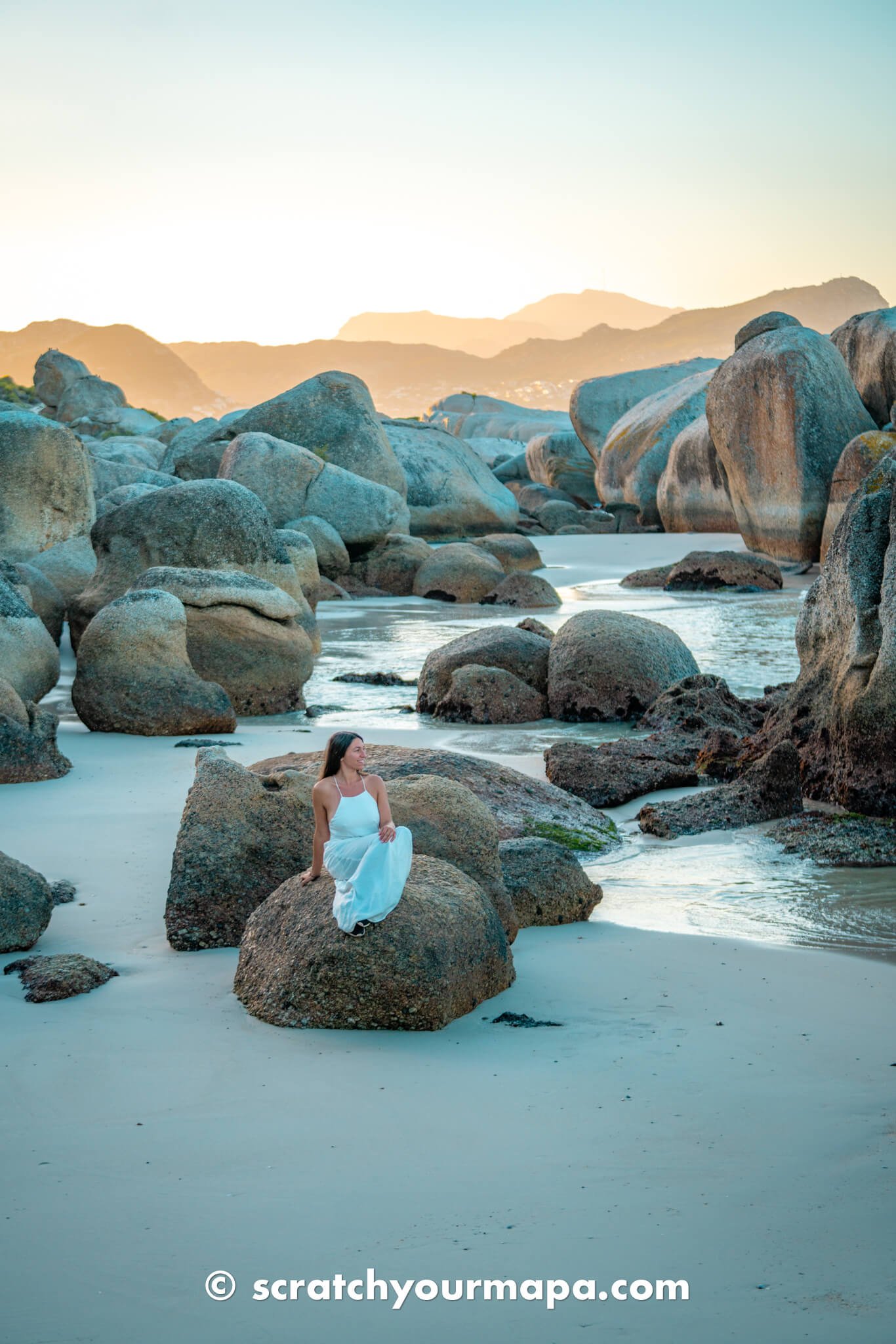 penguin beach in Cape Town