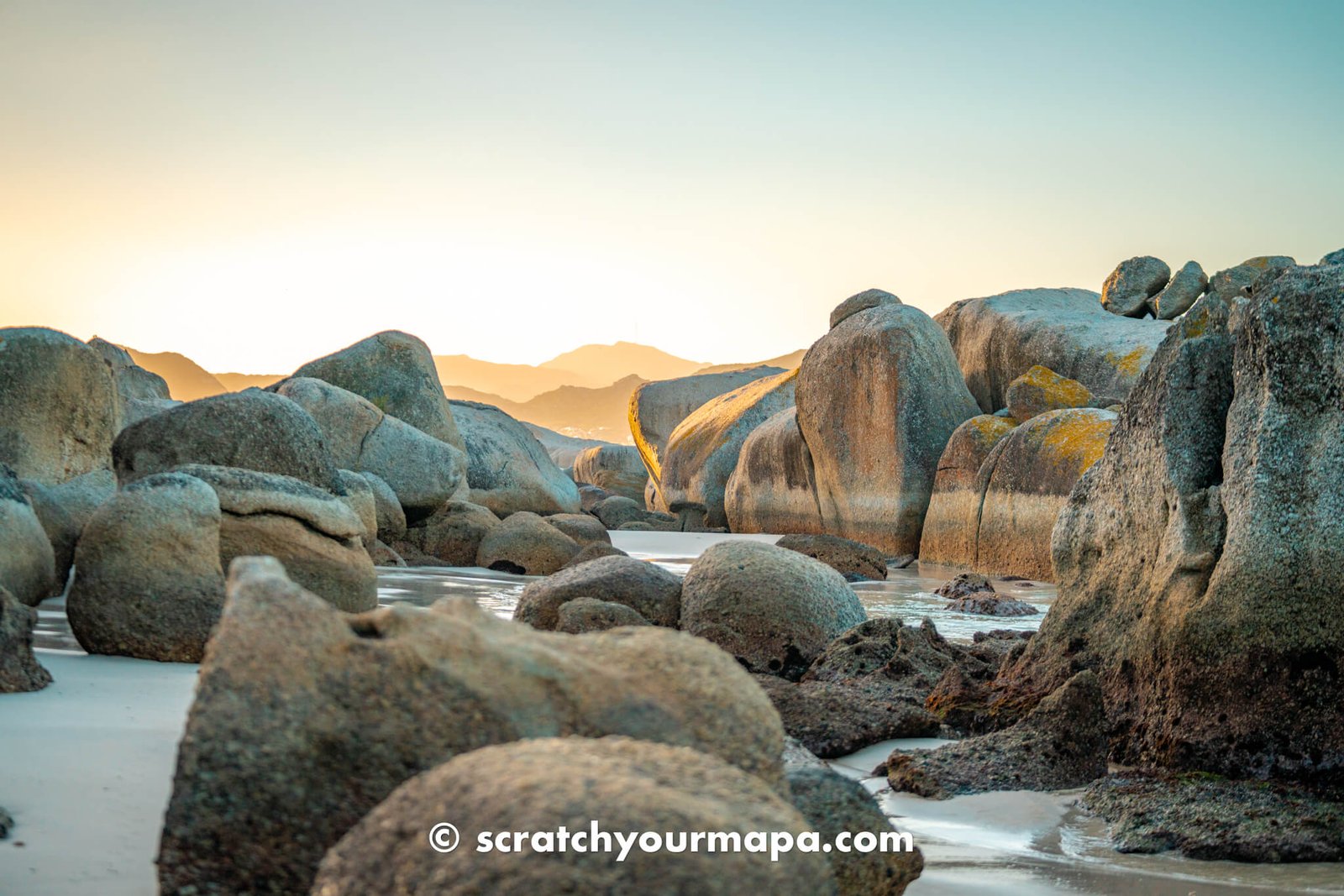 the best time to visit the penguin beach in Cape Town