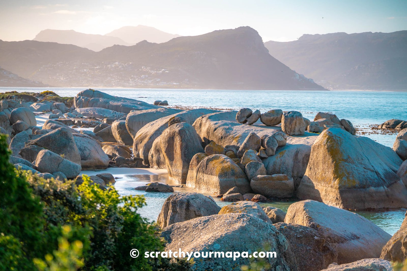 Boulders beach, best things to do in Cape Town, South Africa