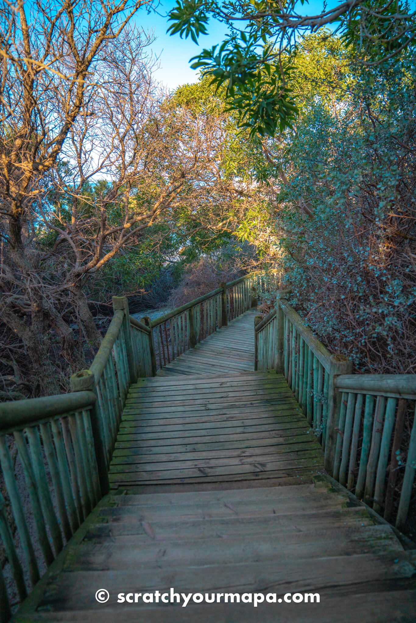 walking to the platforms of Foxy Beach