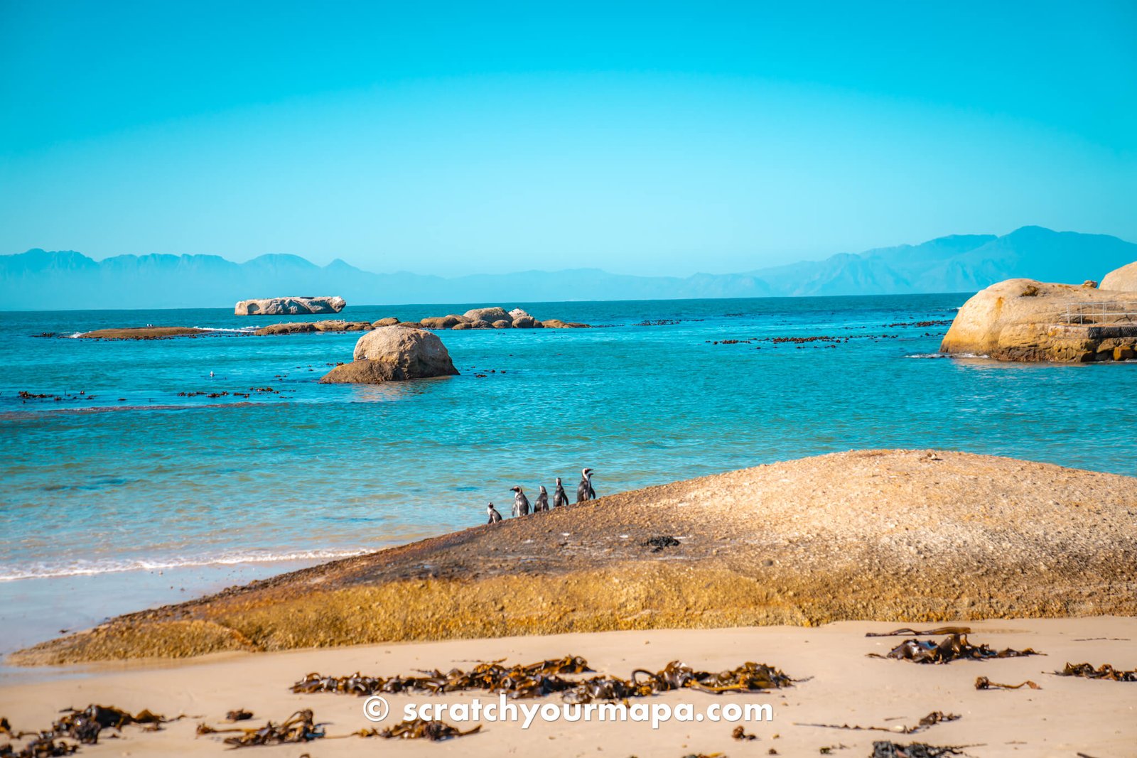 Boulders Beach - penguin beach in Cape Town travel guide