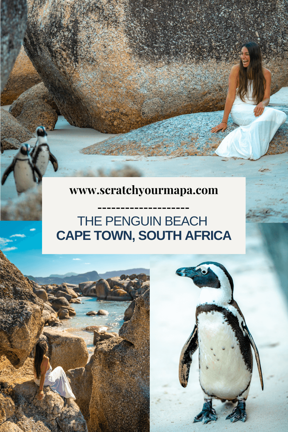 penguin beach in Cape Town travel guide