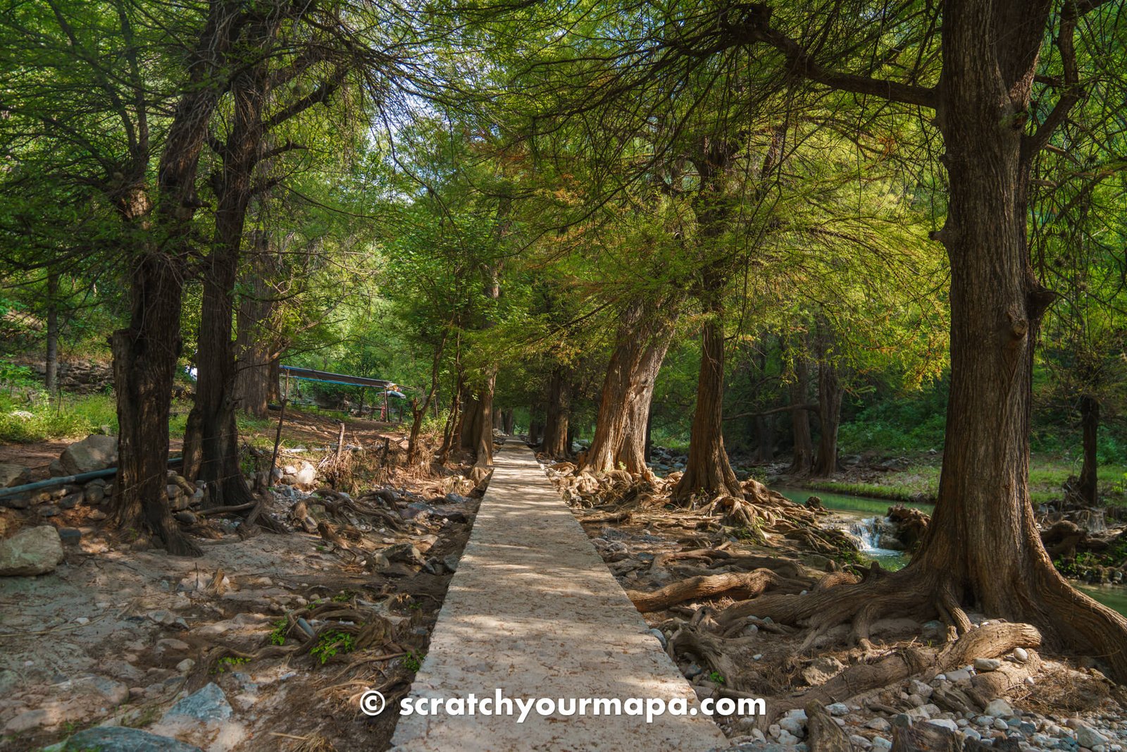 trail for El Aguacate waterfall in Puebla