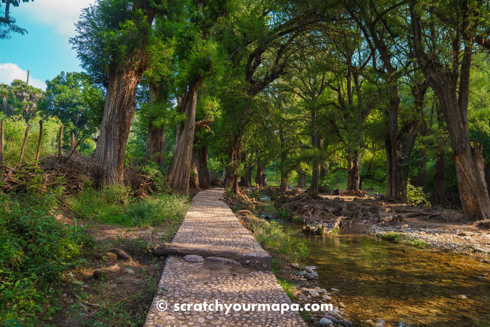 trail for El Aguacate waterfall in Puebla