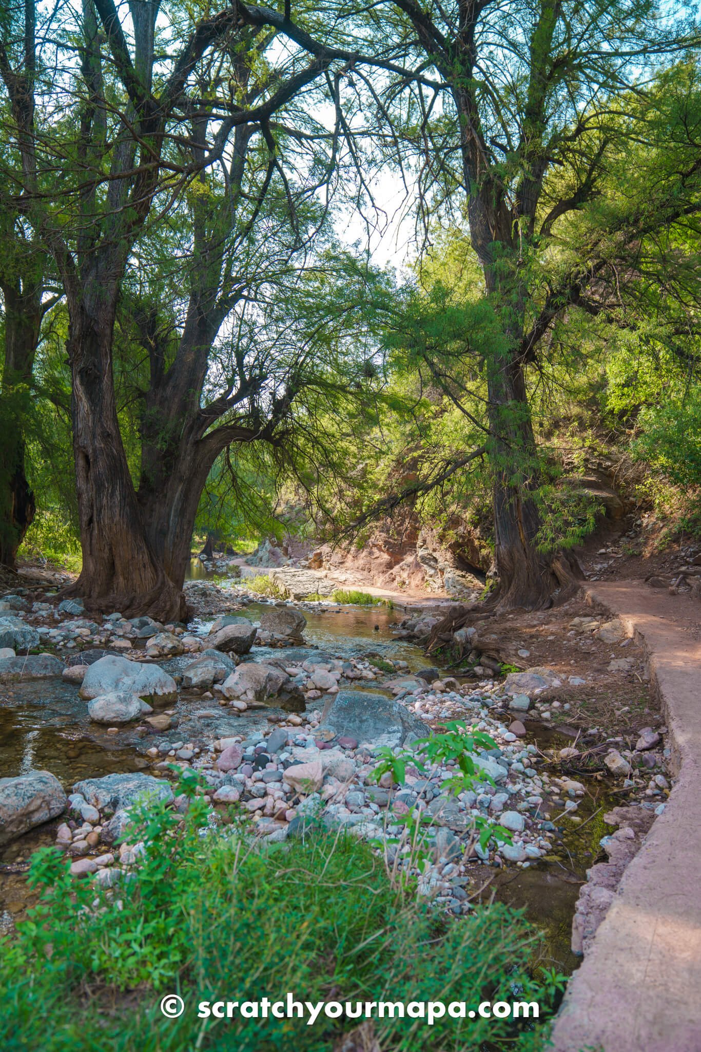 trail for El Aguacate waterfall in Puebla