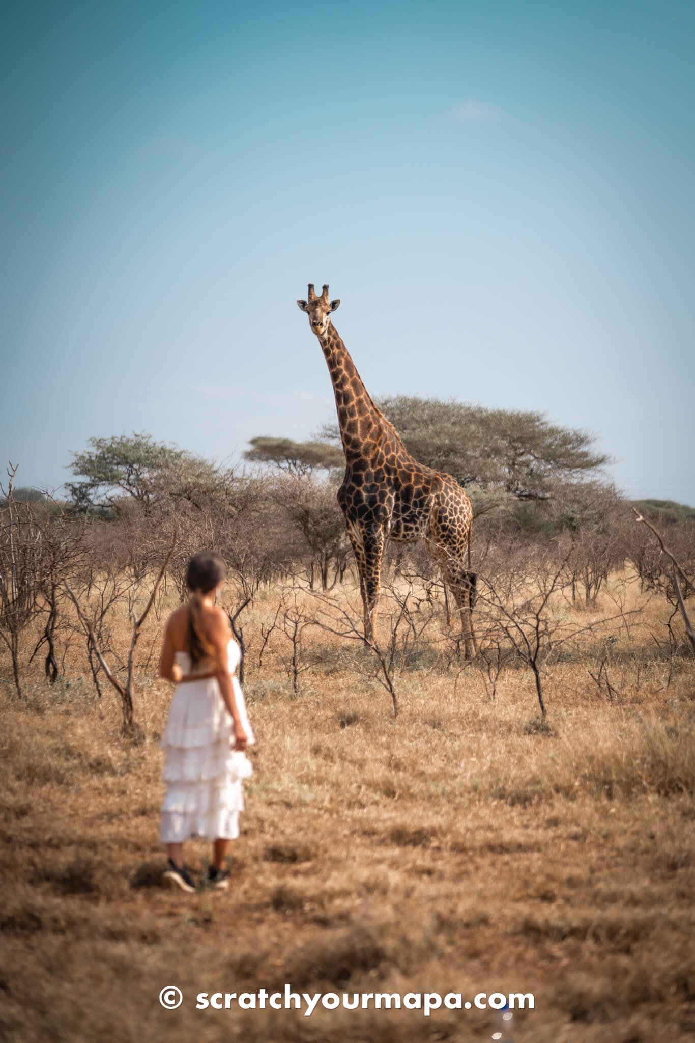 first time safari tips travel guide