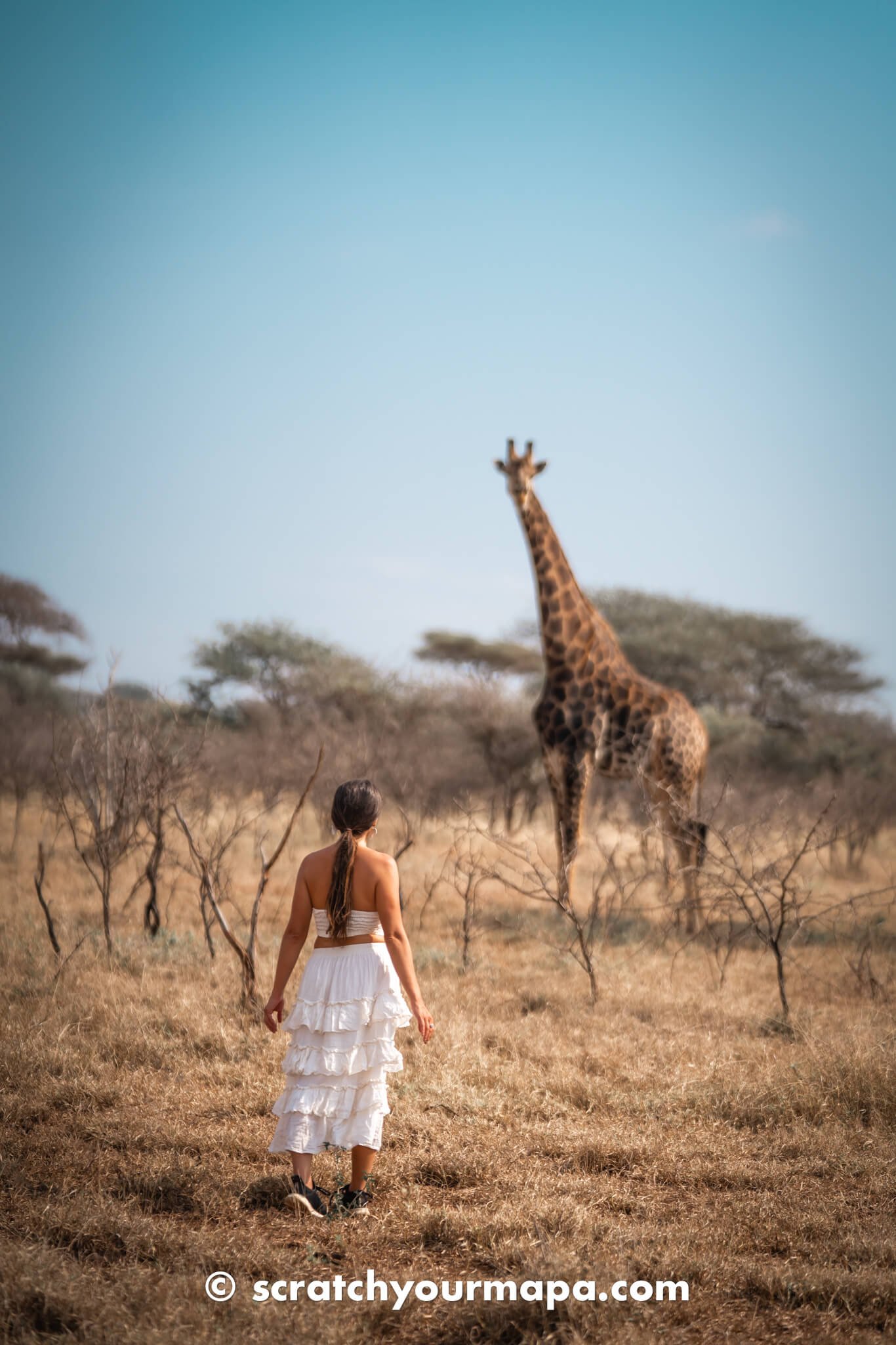 first time safari tips