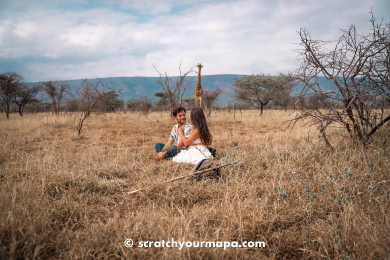 giraffe walking at KaMsholo, the best safari experiences in Eswatini