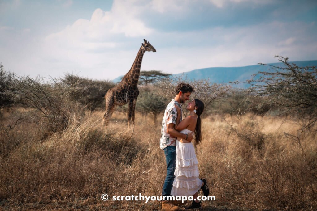 Giraffe walking safari, the best safari experiences in Eswatini