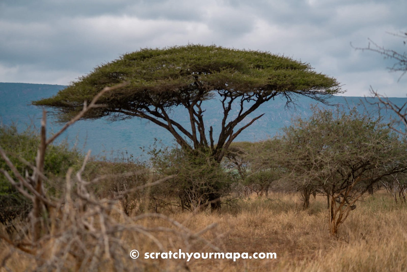 the best game reserves in Eswatini