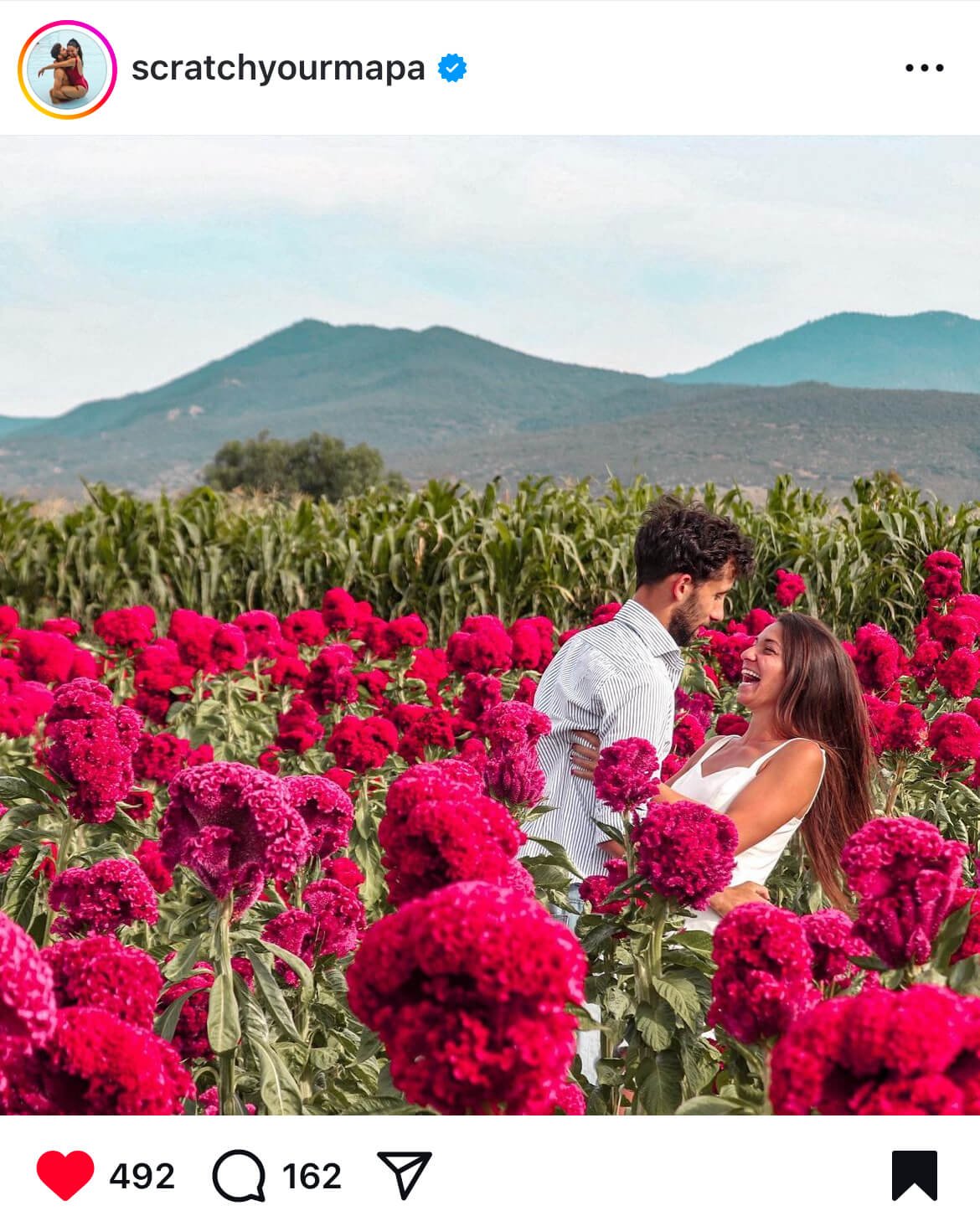 Oaxaca Flowers