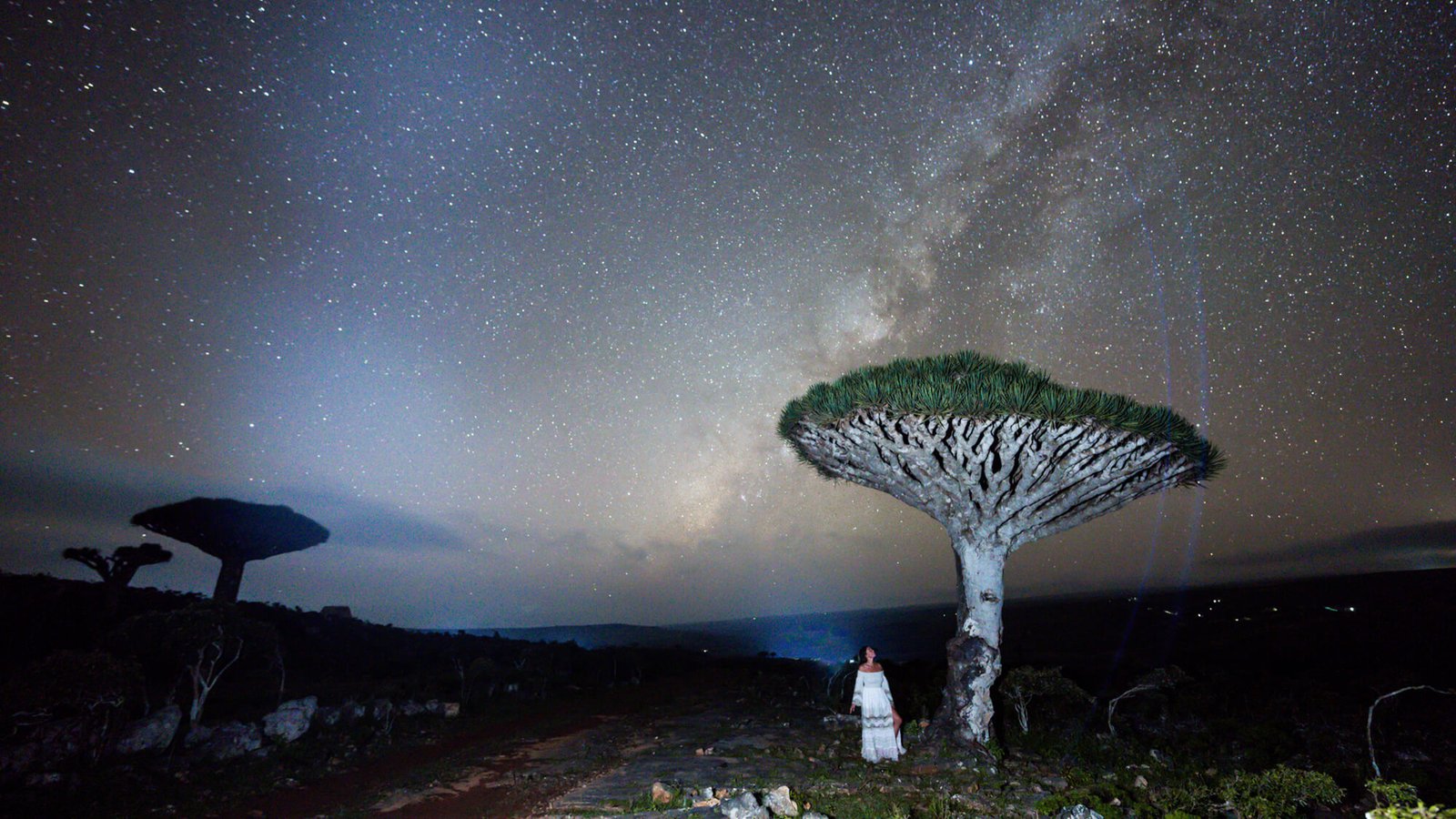 Socotra Astrophotography