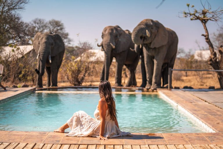 pool with elephants, South Africa bucket list experiences