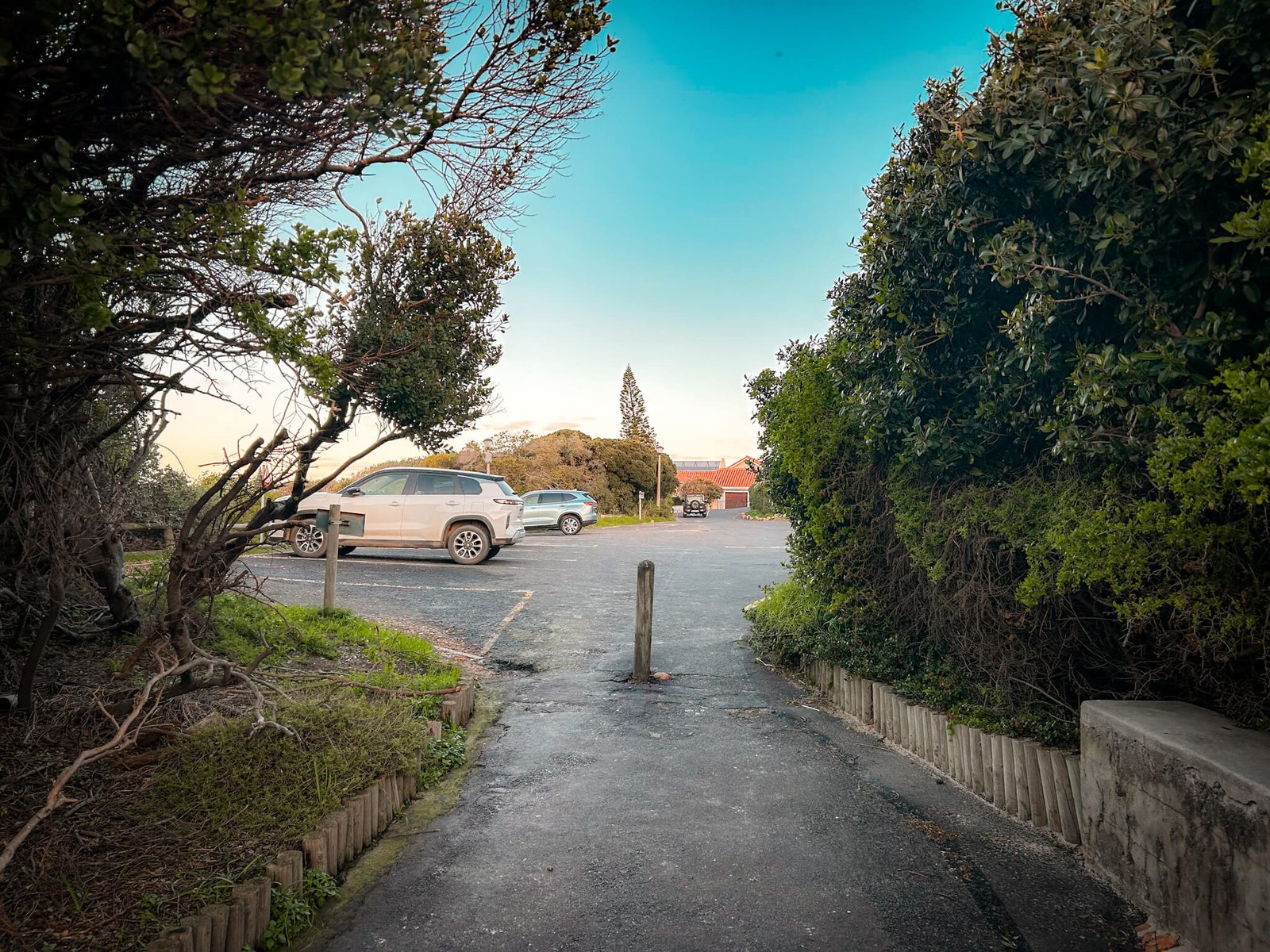 parking at Boulders Beach